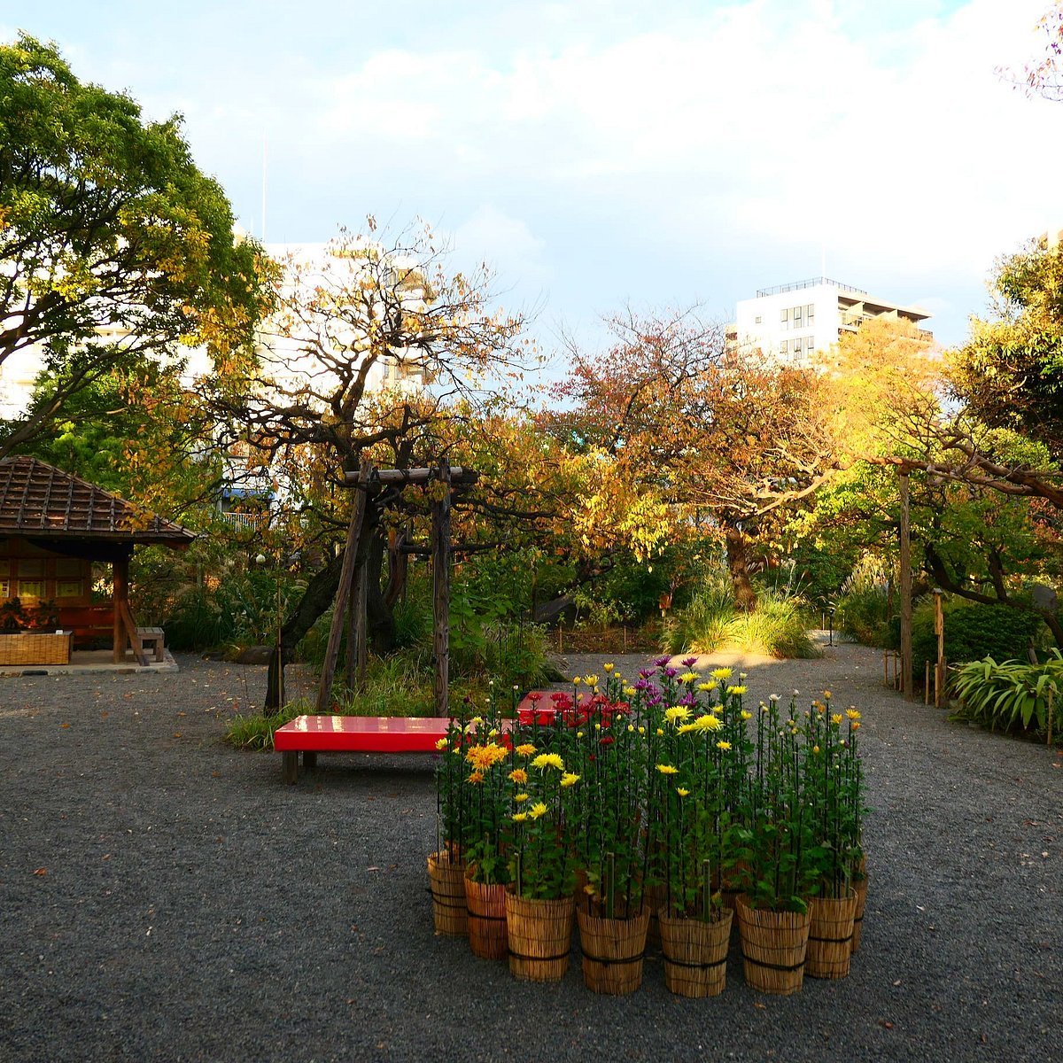 🌸 백화원(무코지마 햣카엔) 이미지 3